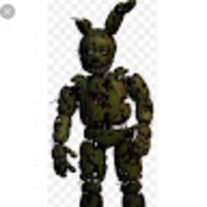 Meet your Posher, Noah